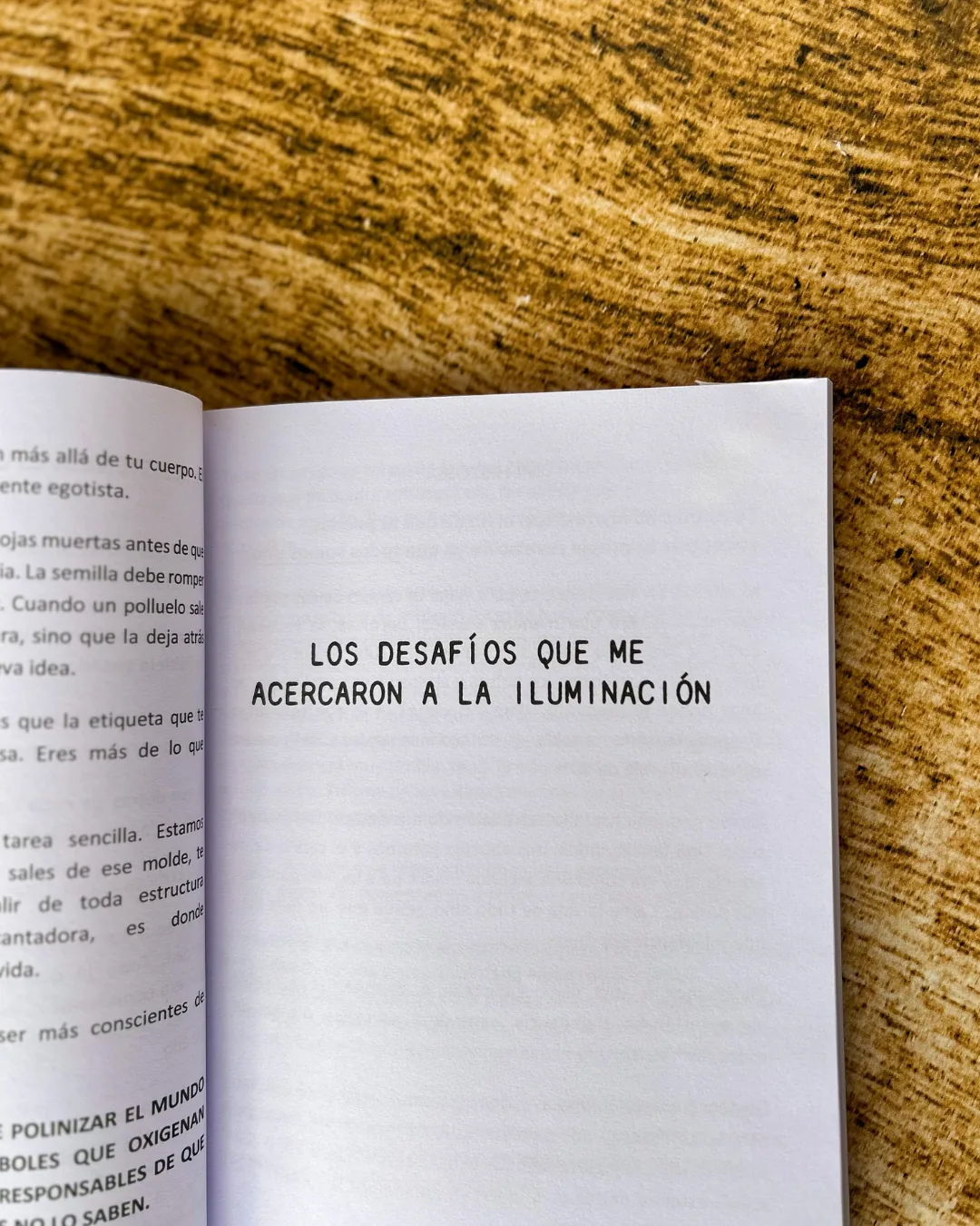 Testimonio